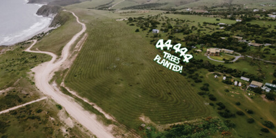 Cape Jervis Tree Planting